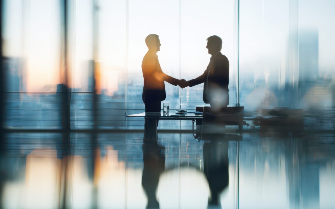 SAP Carve-Outs: Eine Analyse der selektiven Unternehmenstrennung